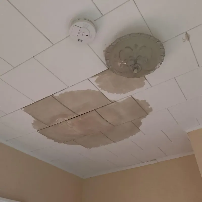 Ceiling Water Damage Repair in Horse Pasture, VA