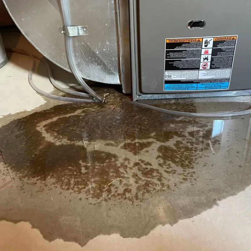 Pipe Burst and Leak Restoration in Horse Pasture, VA