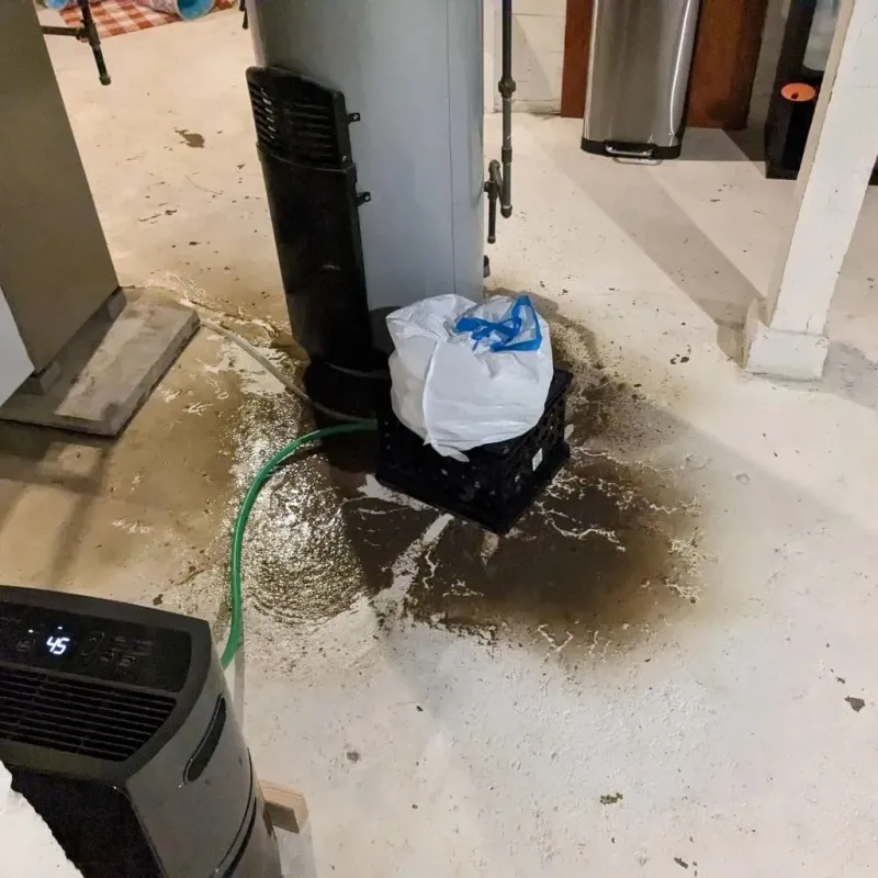 Sewage Backup Cleanup Service in Horse Pasture, VA